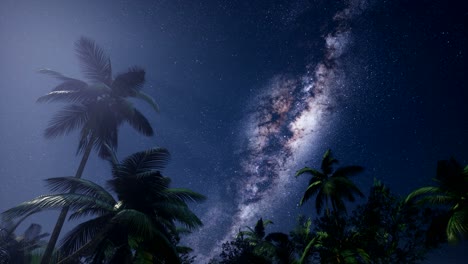 4k-Astro-De-La-Galaxia-De-La-Vía-Láctea-Sobre-La-Selva-Tropical.