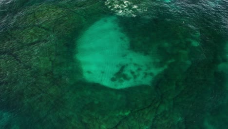 coral reef with clear blue ocean water in nsw, australia - drone shot
