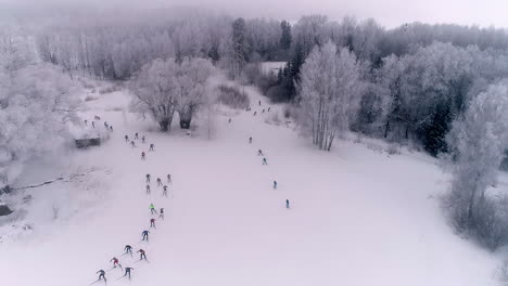 cross-country skiing event in brilliantly white snowy landscape