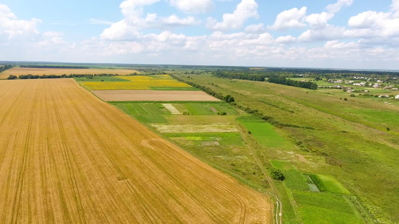 panoramic view from the air to the fields and meadows