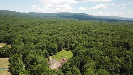 aerial video of vast forest with a visible deforested area due to human impact