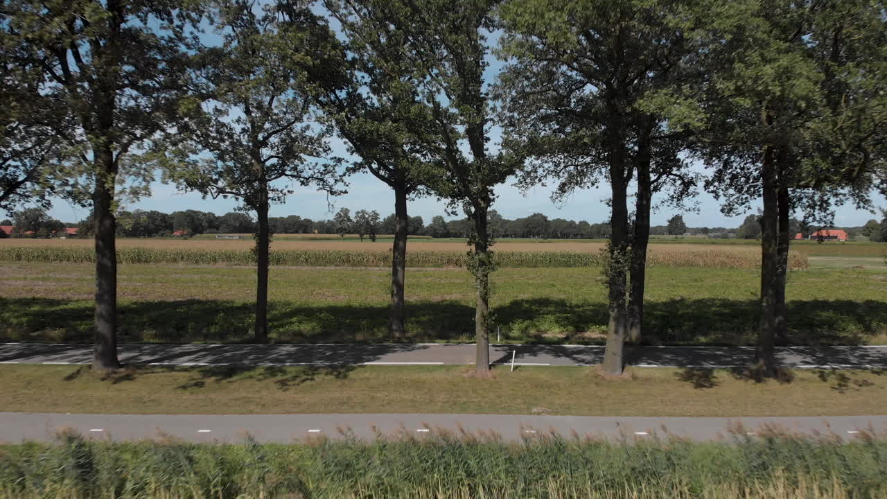 푸른 하늘을 배경으로 농작물 밭이 있는 복도 차선을 만드는 나무 줄과 함께 네덜란드의 깨끗한 아스팔트 시골길을 보여주는 공중 후퇴