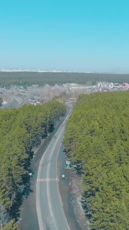 pictorial green dense pine forest surround stretching road under boundless clear blue spring sky upper view