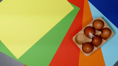 chicken eggs in tray on colored backgrounds