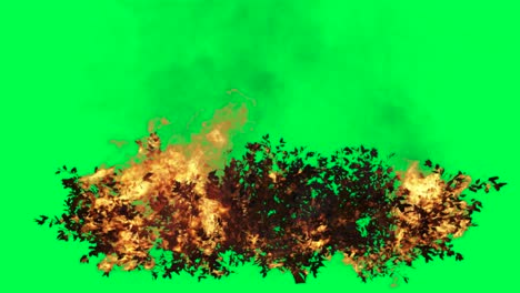 burning bush on green screen