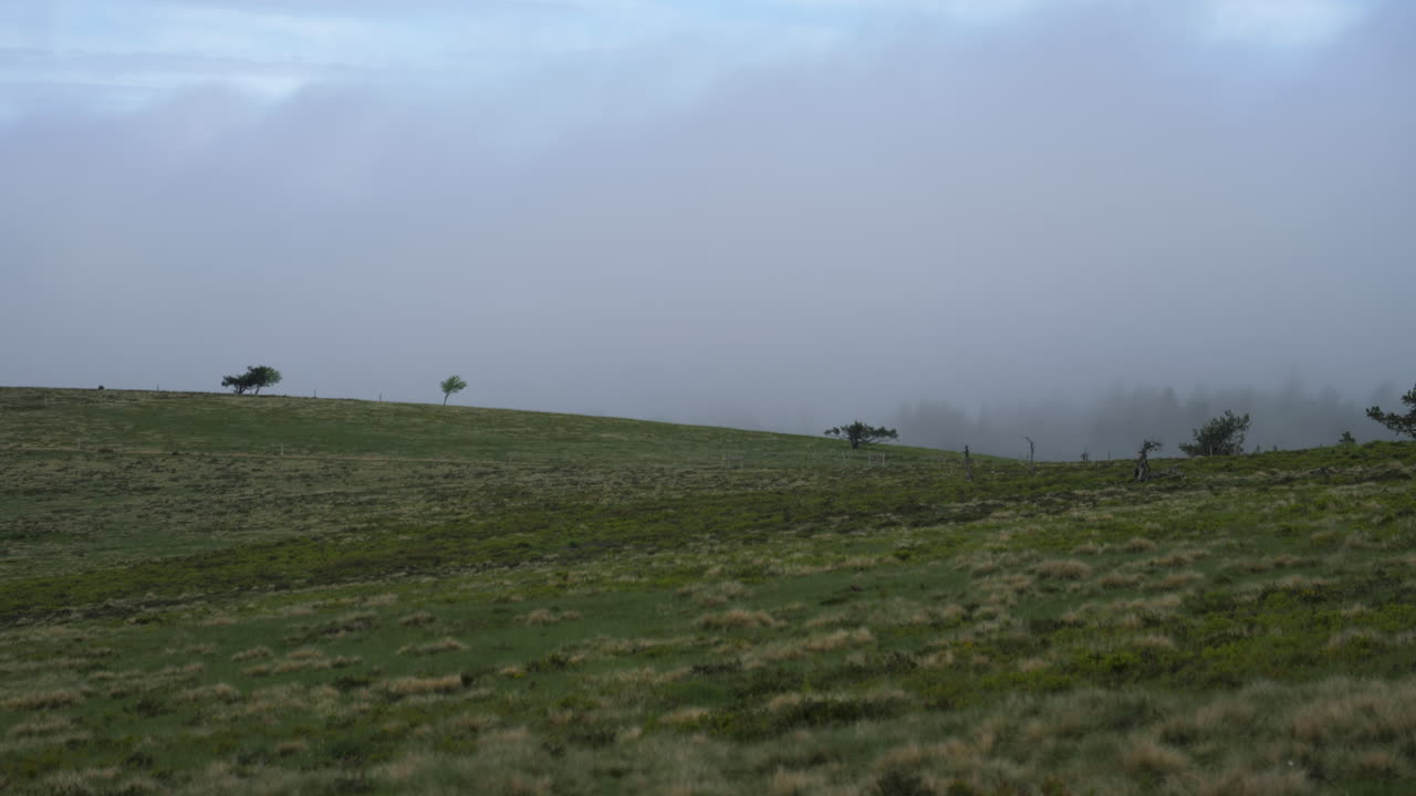 Sea of clouds come and go in the Pilat park in France