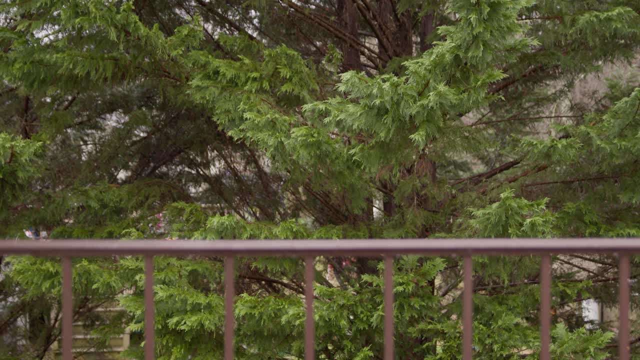 foco de rack desde la barandilla hasta los árboles