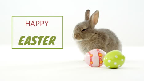 animación de palabras feliz pascua escrita en verde y rojo en marco verde con un lindo conejo de pascua
