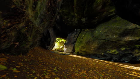 la luz del sol asomando a través de un arco de roca en los bosques de otoño