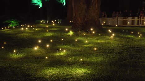 luces brillantes en el parque pukekura durante el festival anual de luces en new plymouth, nueva zelanda