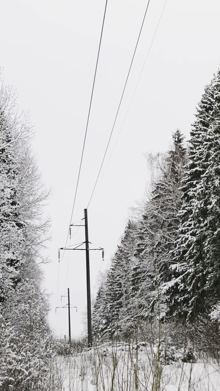Electricity pylons in the forest