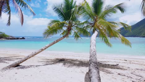 Low,-crooked-palm-trees-on-tropical-sand-beach-with-turquoise-blue-water