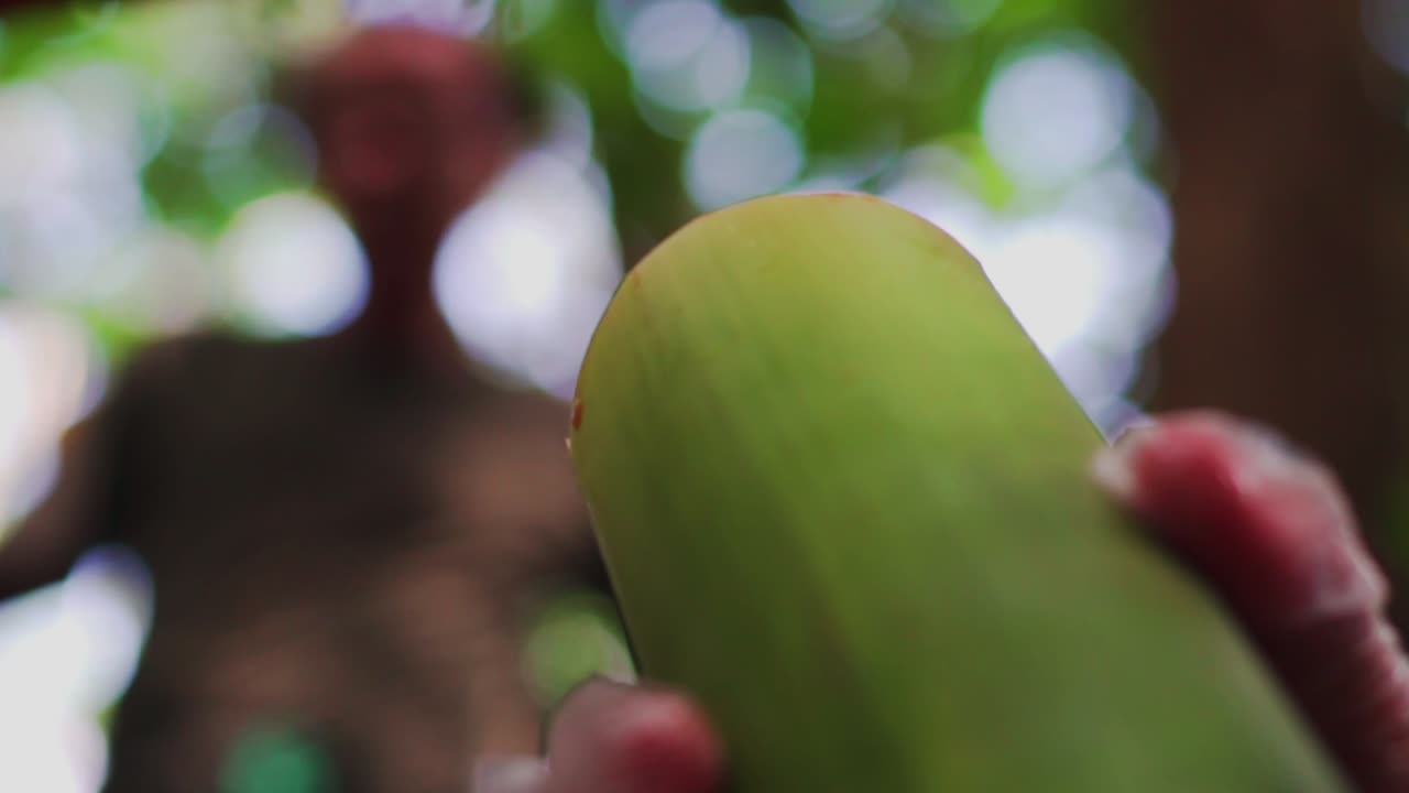 Close up view of campers stuffing the bamboo shoot with raw chicken meat to cook in the forest