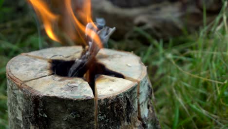 burning fire from a single log.