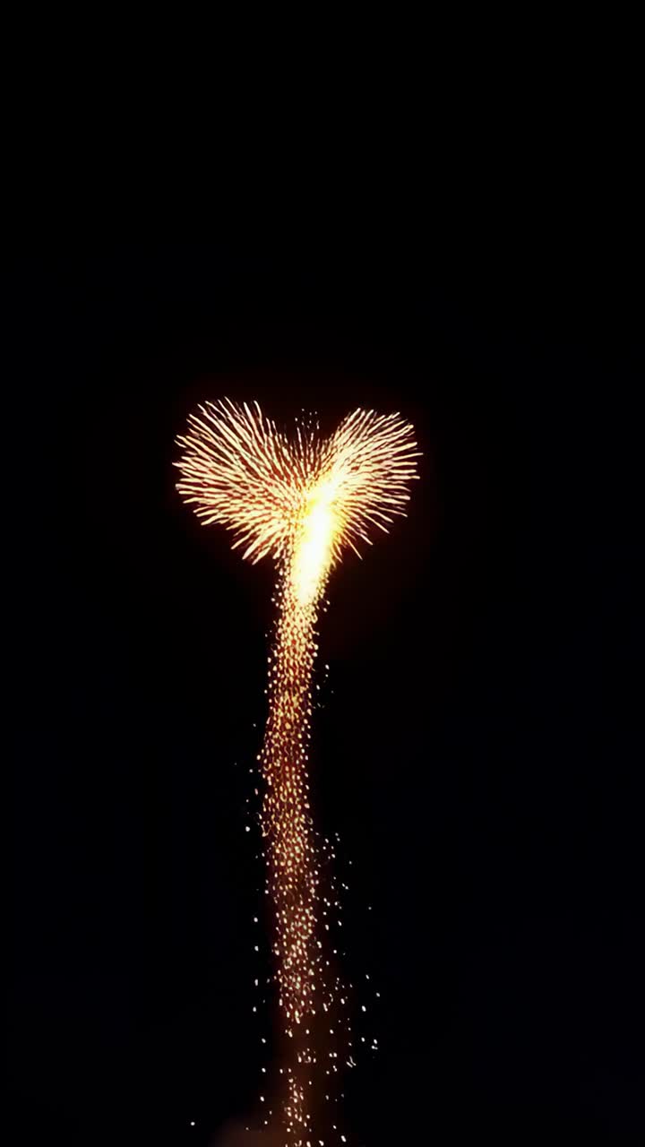 Video verticale: lancio a mano di un fuoco d'artificio che sale di notte, esplodendo in braci dorate e fumo