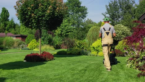 seasonal lawn care and maintenance.