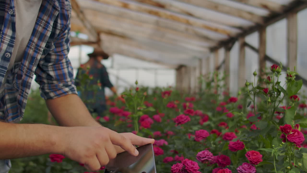 Moderni coltivatori di rose camminano nella serra con una piantagione di fiori, toccano i boccioli e toccano lo schermo del tablet.