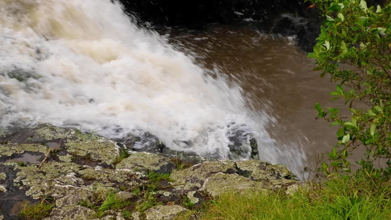 Fast flowing whitewater of the Whangarei Waterfalls after flooding throughout North Island of New Zealand Aotearoa