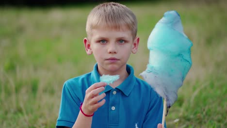 portrait of a boy eating cotton candy. cute boy in blue t-shirt sitting on the green grass and eats sweet candy-floss outdoors.