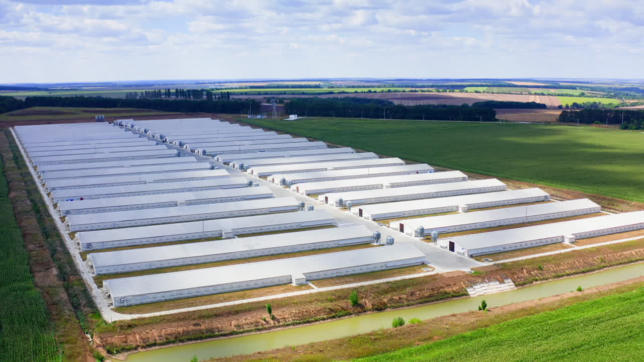 White farm houses on beautiful nature background. Modern barns on green field. Large territory of agricultural complex in rural place.
