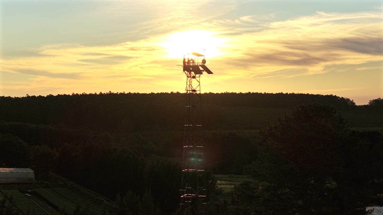 Panorama de dron muestra una torre de vigilancia contra incendios elevándose sobre un extenso bosque gestionado y un horizonte distante.