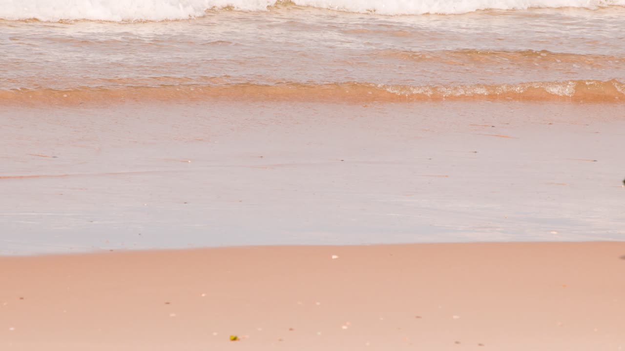 A brown dog runs energetically across a sandy beach near gentle ocean waves, captured in natural daylight with a steady, wide shot perspective