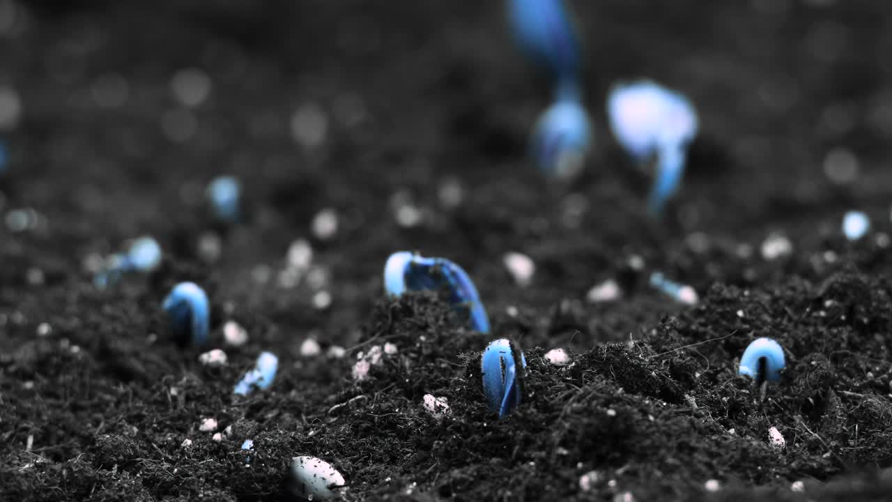 다채로운 루프 아트 컨셉, 파란색 식물 성장, 미니멀 스 모션 디자인, 시안 초현실적인 트렌드, 푸른색