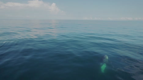 Ballena-Bebé-Irrumpiendo-En-Costa-Rica-Océano-Drone-Aéreo