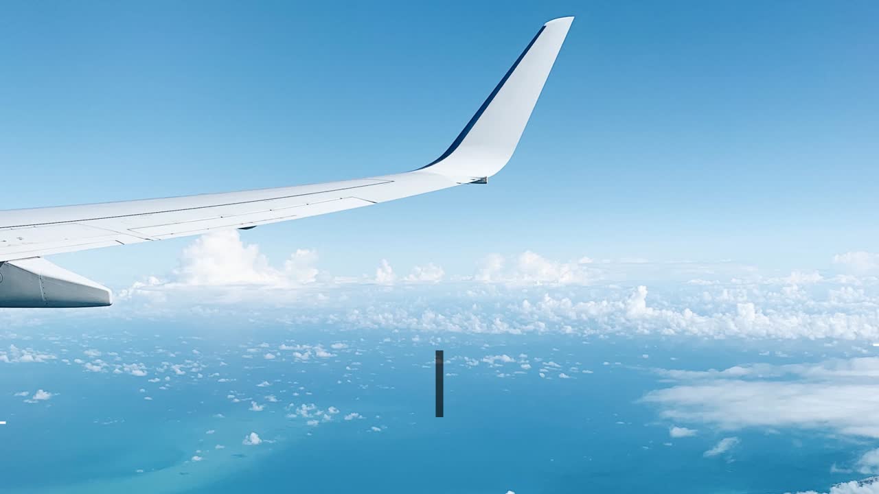 Airplane View with Titles of Motion Designer and Chief Networking Officer