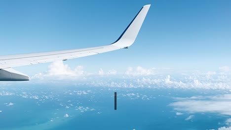 airplane view with titles of motion designer and chief networking officer