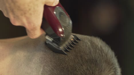 the barber uses haircut machine to trim hair from the side