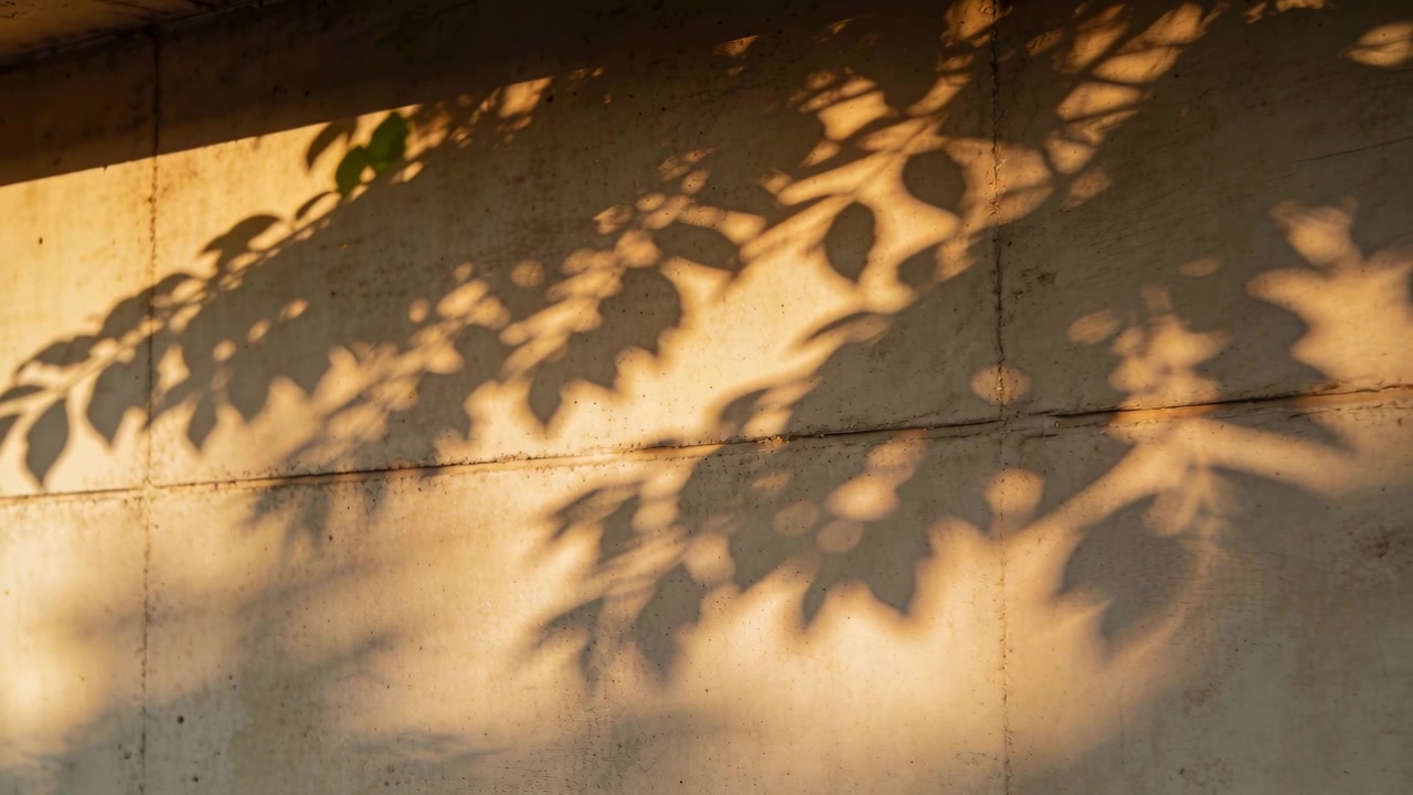 Drifting leafy shadows shifting across warm concrete wall with visible joints, breeze moving leaves