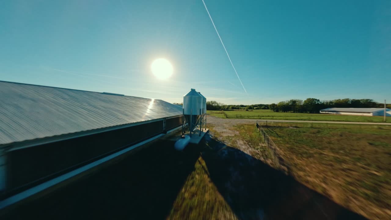 volando sobre los alimentadores en la granja de pollos del medio oeste, el pastoreo levantó el vuelo del dron fpv al atardecer