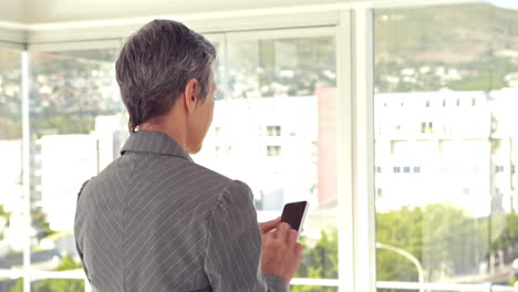 Rear-view-of-businesswoman-using-her-smartphone