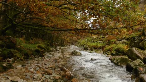 Im-Herbst-über-Einen-Kleinen-Fluss-Fliegen