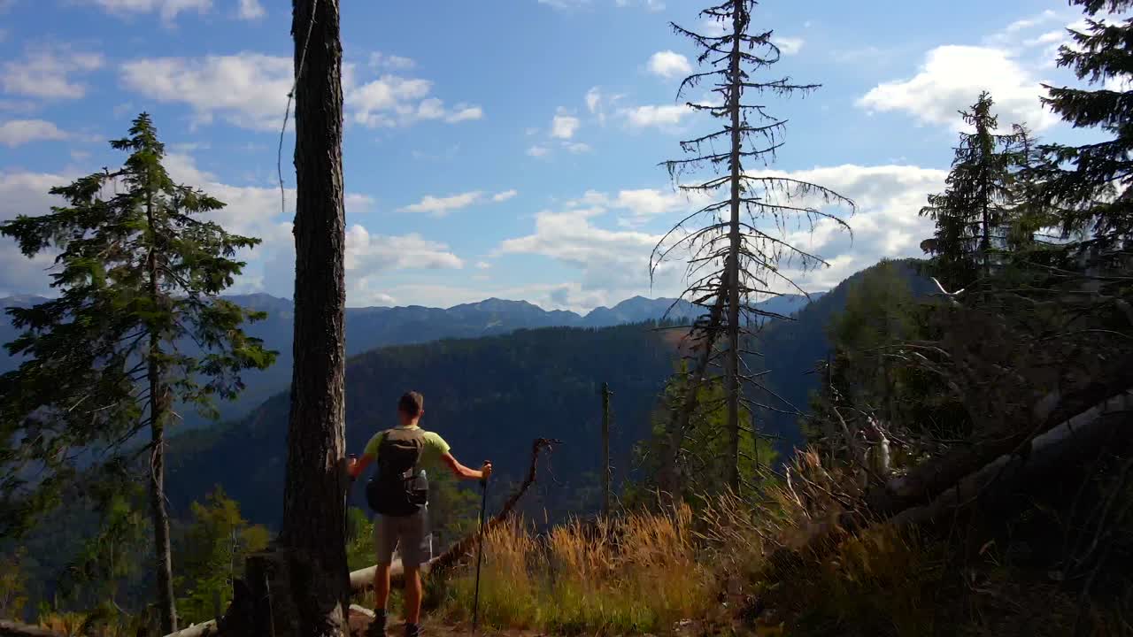 hombre caminando en el bosque hasta el mirador