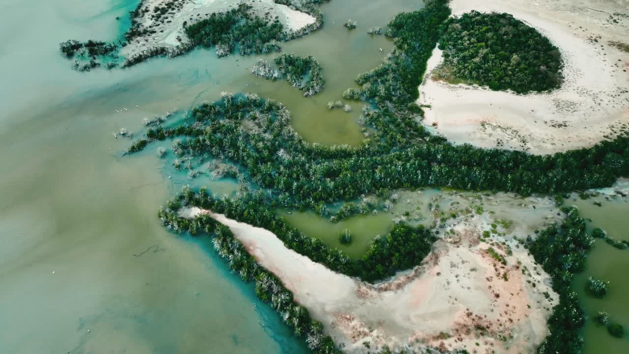 toma aérea de un santuario de aves, pájaros volando, colombia, la guajira