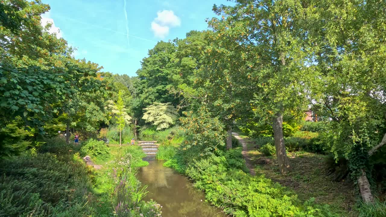 Steady camera captures tranquil canal, green trees, and vibrant summer foliage under bright daylight