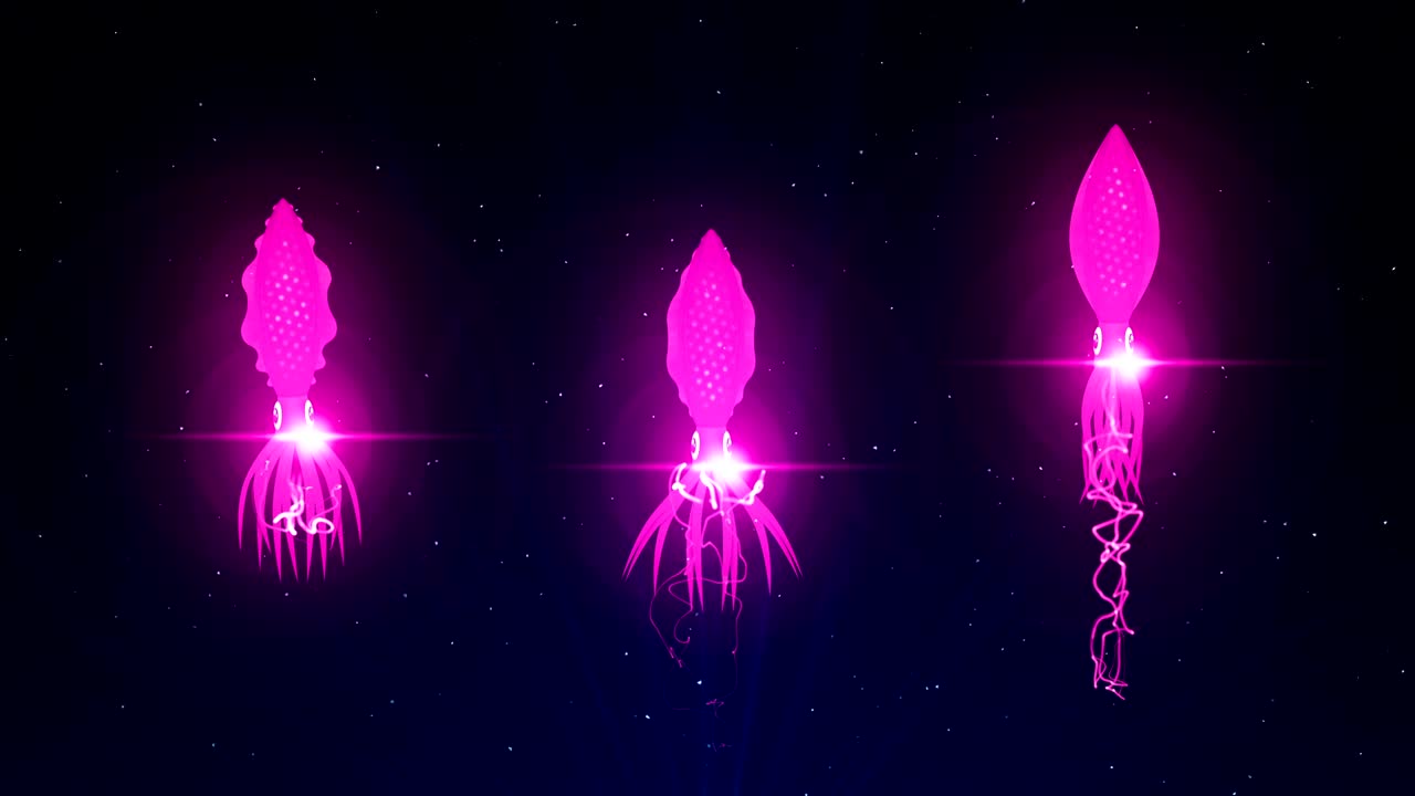 수중에서 컬러 빛으로 조명된 오징어, cg 애니메이션, 루프