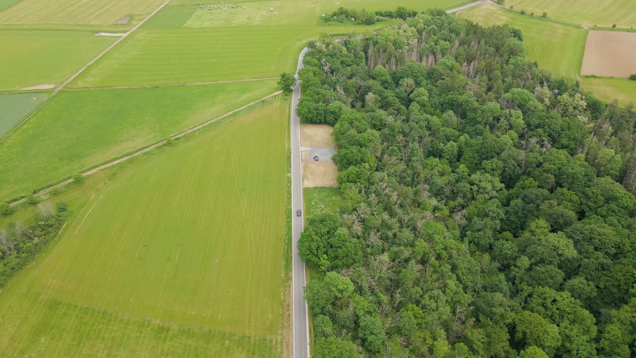 독일 라인란트 팔라티네이트의 울창한 초원과 향기로운 낙엽 숲 사이의 직선 시골 길을 따라 운전하는 한 대의 자동차