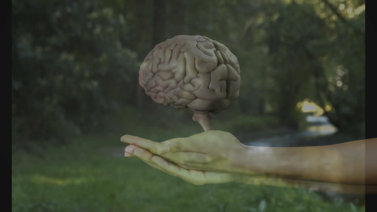 3D-rendered human brain model levitating above outstretched hands beside sunlit forest stream