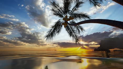 sunrise on tropical island sea beach, calm ocean sunset, morning dawn panorama landscape, palm tree leaves silhouette, yellow sun reflection