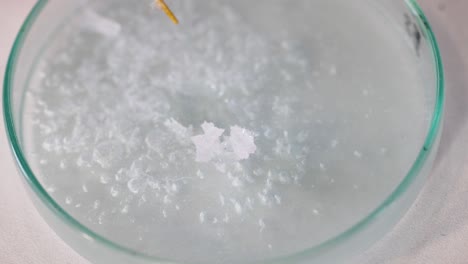 crystals forming in a science experiment