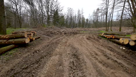 Aerial-revealing-view-of-stacked-timber-in-forest-by-dirt-road,-tree-trunks-or-sawn-logs-used-as-natural-resources,-ecological-and-environmental-degradation