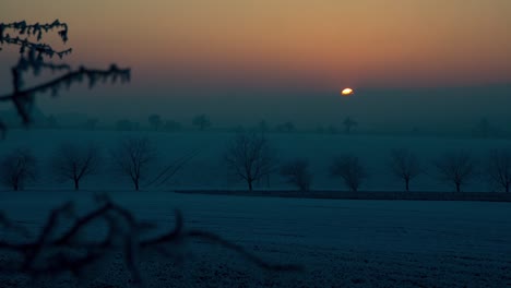 sunset time lapse on a snowy landscape with fields and trees, a few branches are in the foreground, camera is static