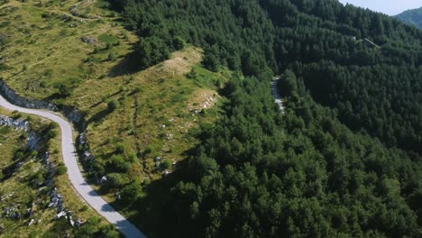 Aerial-shot-of-the-edge-of-the-forest-at-a-high-altitude-mountain