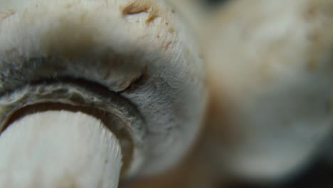 macro realistic video of a pile of mushrooms, detailed raw champignons, white caps reflection, on a rotating stand, smooth movement, slow motion 120fps