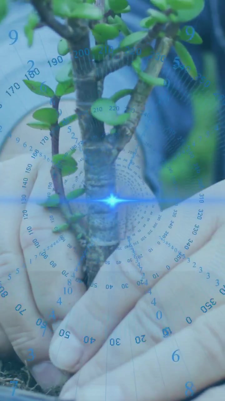 Video verticale: Giardiniere che solleva la zolla di radici, rinvasa una pianta mentre un'interfaccia HUD mostra i dati delle radici.