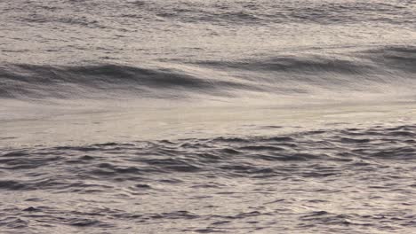 male surfer paddling out on rolling waves, wide shot