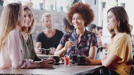 four young female friends meeting sitting at table in coffee shop and talking